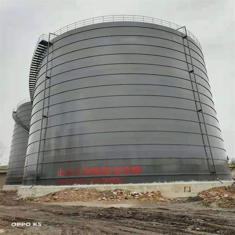 皇桐镇3万吨大型钢板库