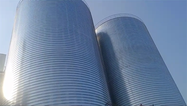 皇桐镇2座混凝土高架卷板仓